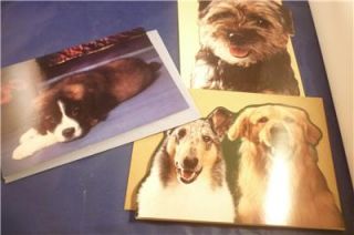 Lot 3 Hallmark Barkletts Quotations Dog Cards Annie Meggie Lacey 