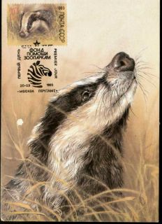  badger stamp on maximum card 1989 russia shipping 