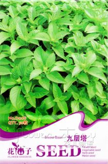 Basil Seed 30 Edible Herb Plant Sweet Green Popular Healthy Natural