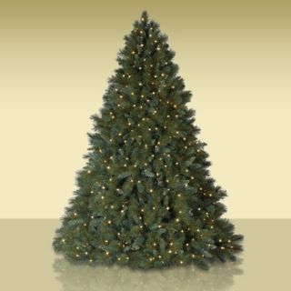 Balsam Hill Ocala Spruce Pine 9 Foot Christmas Tree with Clear Lights 