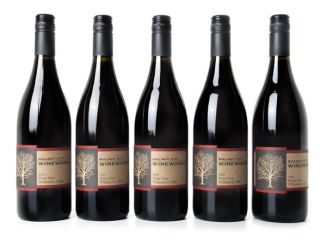 Walnut City WineWorks 2010 Pinot Noir 5 Pack