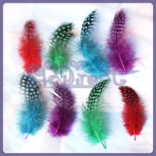 Lot 50 ASSORTED dyed GUINEA HEN FEATHER hat fascinator Craft decor 