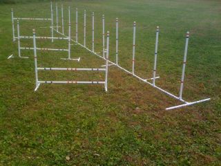 dog agility equipment for serious training and fun 3 jumps