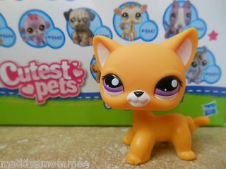 Littlest Pet Shop~ New Bright Yellow Short Hair Kitty Cat #2433 Rare 
