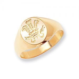 Mens 9ct 9k Gold Celtic Prince of Wales Feathers Crest Signet Ring