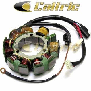 Stator Arctic Cat POWDER SPECIAL 500 EFI LE 1999 2000 Snowmobile NEW 