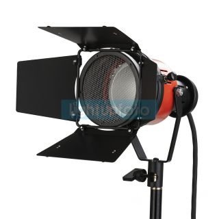 300W Mini Red Head Continuous Video Lighting Film Photo