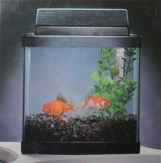 gal seamless acrylic aquarium fish tank w light hood undergravel 