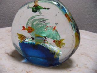 murano glass fish aquarium paper weight