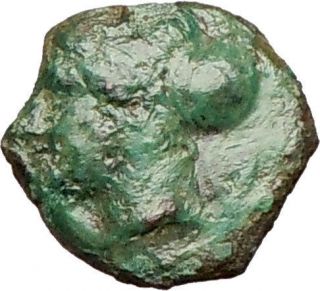 Syracuse Sicily 357BC QUALITY Authentic Ancient Greek Coin FEMALE 