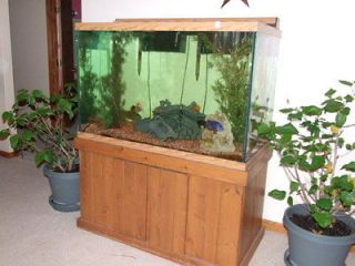   Gallon complete Aquarium Show Tank, Wood Cabinet, 15 African Cichlids