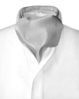 Antonio Ricci Ascot Solid Silver Grey Color Cravat Mens Neck Tie 