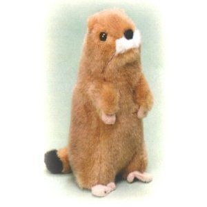 blacktailed prairie dog plush stuffed animal toy time left