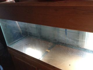    used 75 gallon aquarium with oak hood and stand local pickup only
