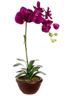 Phalaenopsis Orchid Artificial Flower Plant 4 Colors New Sale