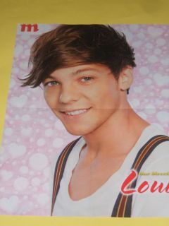 One Directions Louis Tomlinson 16x20 Poster b/w Liam Payne   FACE 