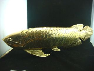Large Brass Arowana Fish Statue Wealth Size 17 3x4 7