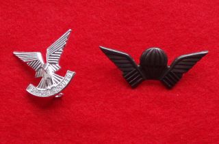 Rhodesian Selous Scouts Cap Badge Numbered Wing RARE