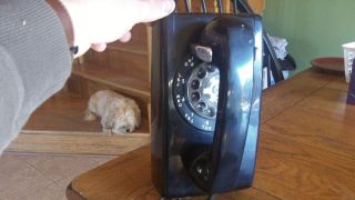 Bell Telephone Wall Mount Black Rotary Phone