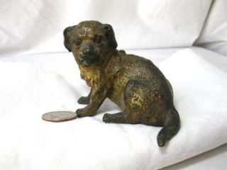   Austrian Vienna Bronze Cold Painted Signed Puppy Dog Bergmann