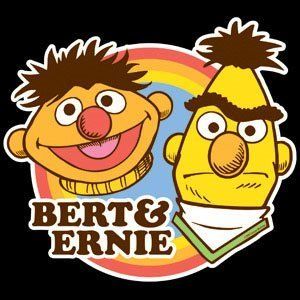 Bert Ernie Sesame Fabric T Shirt Iron on Transfer