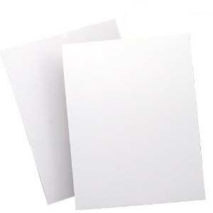 100 8 5 x 11 Full Sheets Laser Inkjet White Blank Matte Labels 