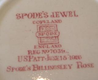 Spode Jewel Billingsley Rose Medium Oval Platter 1926