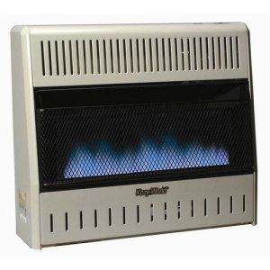 World Natural Gas Dual Fuel Blue Flame Wall Heater Control Portable 