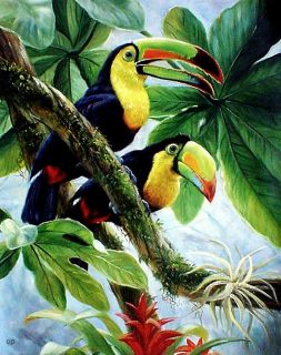 Toucans Tropical Bird Print by Eddie Glass Reproduction on Paper 