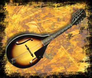 Bluegrass Acoustic Mandolin Sunburst A Model Country Rover RM 25 New 