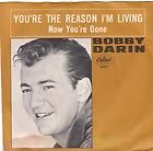 bobby darin 45 you re the reas $ 0 99 see suggestions