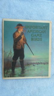 DUPONT 1917 GAME BIRDS, Lynn Bogue Hunt, Duck Decoy,Peters Remington 