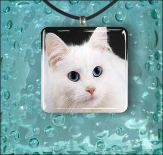 Cat White Face Blue Eyes Glass Pendant Necklace