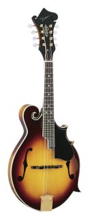 the dean bluegrass f mandolin features select spruce top maple back 