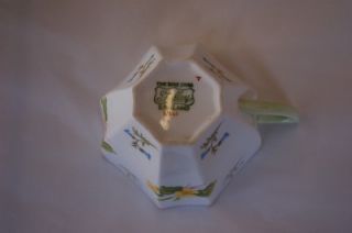 Shelley Queen Anne Bluebell Lime Cup Saucer RARE VGC