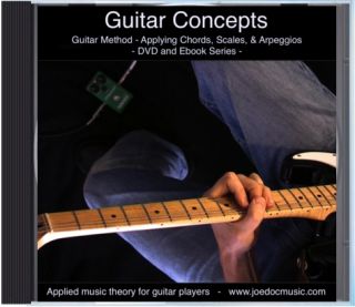    Strat Guitar Setup Tips Lead Guitar DVD Lessons Blues Rock