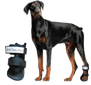 Walkin Wheels Bootie Splint Great for Dogs Who Knuckle Gently Used 