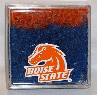 Boise State Broncos Blue Turf game used 2002 2007 Orange Blue