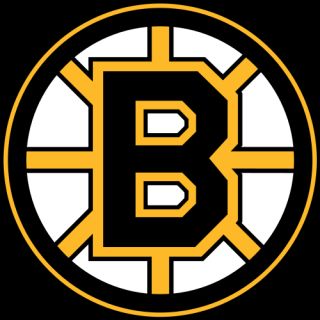   .net/__cb20100902031520/logopedia/images/4/48/Boston_Bruins_1995.png