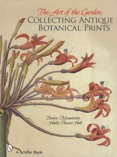 Antique Botanical Prints Collectors Guide 17th 18th Century Artist Bio 