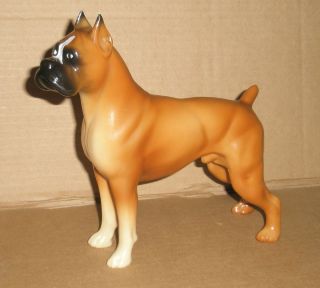  Breyer Boxer