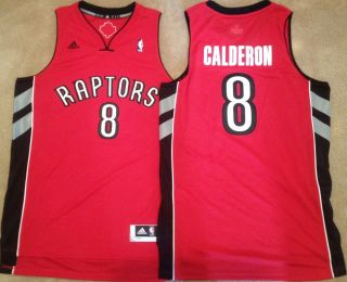 Jose Calderon Toronto Raptors Red Mens Sewn Jersey Swingman Revolution 