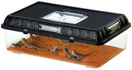 Exo Terra Breeding Box Small PT2270 Reptile Supplies  by 