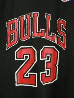 Vintage Chicago Bulls 23 Jersey Jordan Champion Youth M
