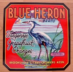   Blue Heron Citrus Orange Fruit Crate Label Brooksville Florida