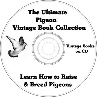 Ultimate Pigeon Book Collection Vintage Books About Pigeons on CD 