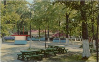 Riverview Amusement Park Picnic Grove Post Card