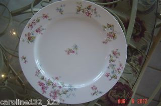 Newly listed Haviland & Co. Limoges France China 10 Dinner Plate no 