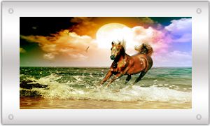 Moving Waterfall Ocean Picture with Light and Sound Brown Horse 39X19 