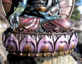   Tibetan Buddhist Healing Medicine Buddha Statue Special Box